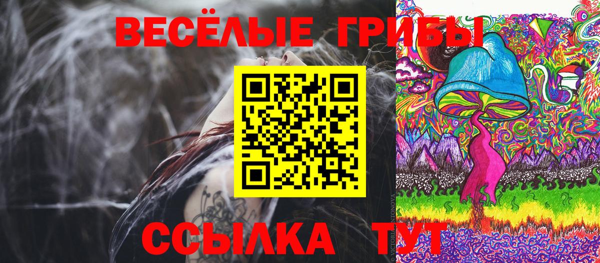 Киреевск  Псилоцибиновые грибы Cubensis  Вход с VPN 